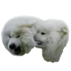 Эмодзи С собачками