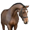 Эмодзи Equestrian