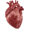 Эмодзи Cherry Spirit Emoji