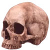 Эмодзи Cherry Spirit Emoji