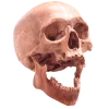 Эмодзи Cherry Spirit Emoji