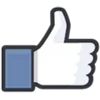 Facebook Likes