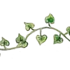 Эмодзи Dividers
