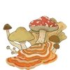 Эмодзи Fairyland