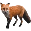 Эмодзи Fauna