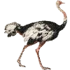Эмодзи Fauna