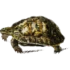 Эмодзи Fauna