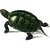 Эмодзи Fauna