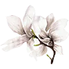 Эмодзи Flowers