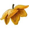 Эмодзи Flowers