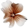 Эмодзи Flowers