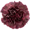 Эмодзи Flowers