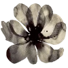 Эмодзи Flowers