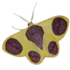 Эмодзи Moths