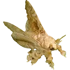 Эмодзи Moths