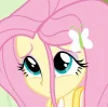 Fluttershy