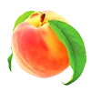 Food Nutrition