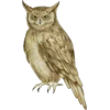 Эмодзи Лесной домик