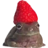 Frogs