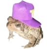 Эмодзи Frogs