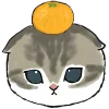 Фруктовые котята