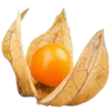 Эмодзи 🍍 𝐸𝑥𝑜𝑡𝑖𝑐 𝑓𝑟𝑢𝑖𝑡𝑠: 🍍