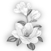 Эмодзи Gray Mixed