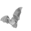 Эмодзи Gray Mixed