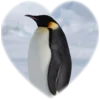 Эмодзи Сердечки | Hearts