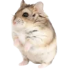 Эмодзи 🐹 ℍ𝕒𝕞𝕤𝕥𝕖𝕣𝕤: 🐹