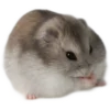 Эмодзи 🐹 ℍ𝕒𝕞𝕤𝕥𝕖𝕣𝕤: 🐹