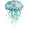 Эмодзи 🐠💧𝐼𝑛 𝑡𝒉𝑒 𝑏𝑙𝑢𝑒 𝑠𝑒𝑎: 💧🐠