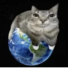 Эмодзи Коты