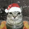 Эмодзи Коты