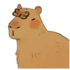 Эмодзи 🐹 Capybara 🐹
