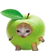 Kitten Fruits Vegetables