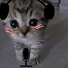 Эмодзи kotik