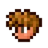 Эмодзи Terraria