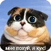 Эмодзи Кукi из Тихого Омута ← Подпишись]