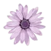 Эмодзи Violet Mixed
