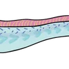 Эмодзи Sea