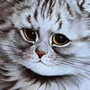 Эмодзи Louis Wain and Cats
