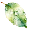 Эмодзи Любимая весна
