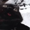 Эмодзи Cat memes