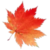 Эмодзи Autumn