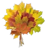 Эмодзи Autumn