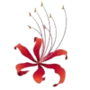 Эмодзи Manjusaka (spiderlily)🍷