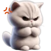 Милый котик