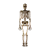 Эмодзи Medicine aesthetic