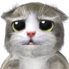 Эмодзи Mofu Kitten